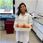 Clases de química para todos los niveles! Metodología personalizada y relajada